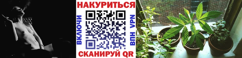 Марихуана White Widow  Кологрив 